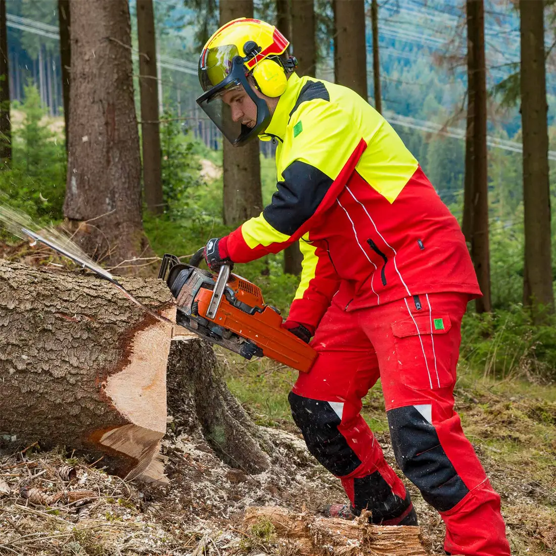 GRÜNHOLZ - Schnittschutzhose PRO³FLEX Klasse 1 rot/anthrazit