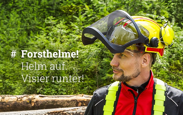 Forst_Einstieg_Helme