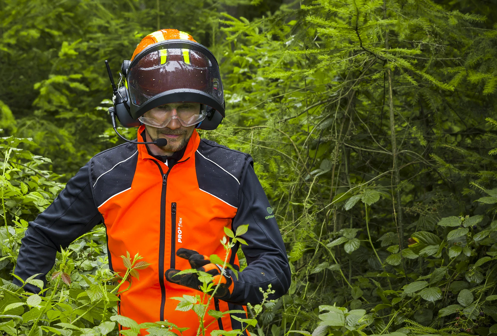 Forst_Header_Helme