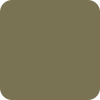 khaki-grun