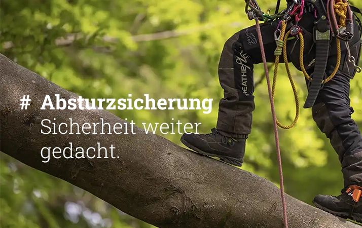 Forst_Einstieg_Absturzsicherung
